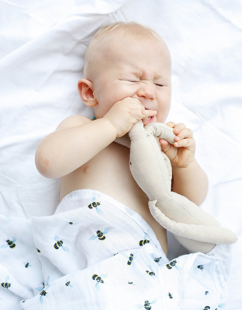 ORGANIC SWADDLE SET - BUSY BEES (Bee + Hive)